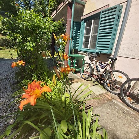 Garden Budha Relax Apartman, Parking, Bbq, Terrace ชิโอฟก ภายนอก รูปภาพ