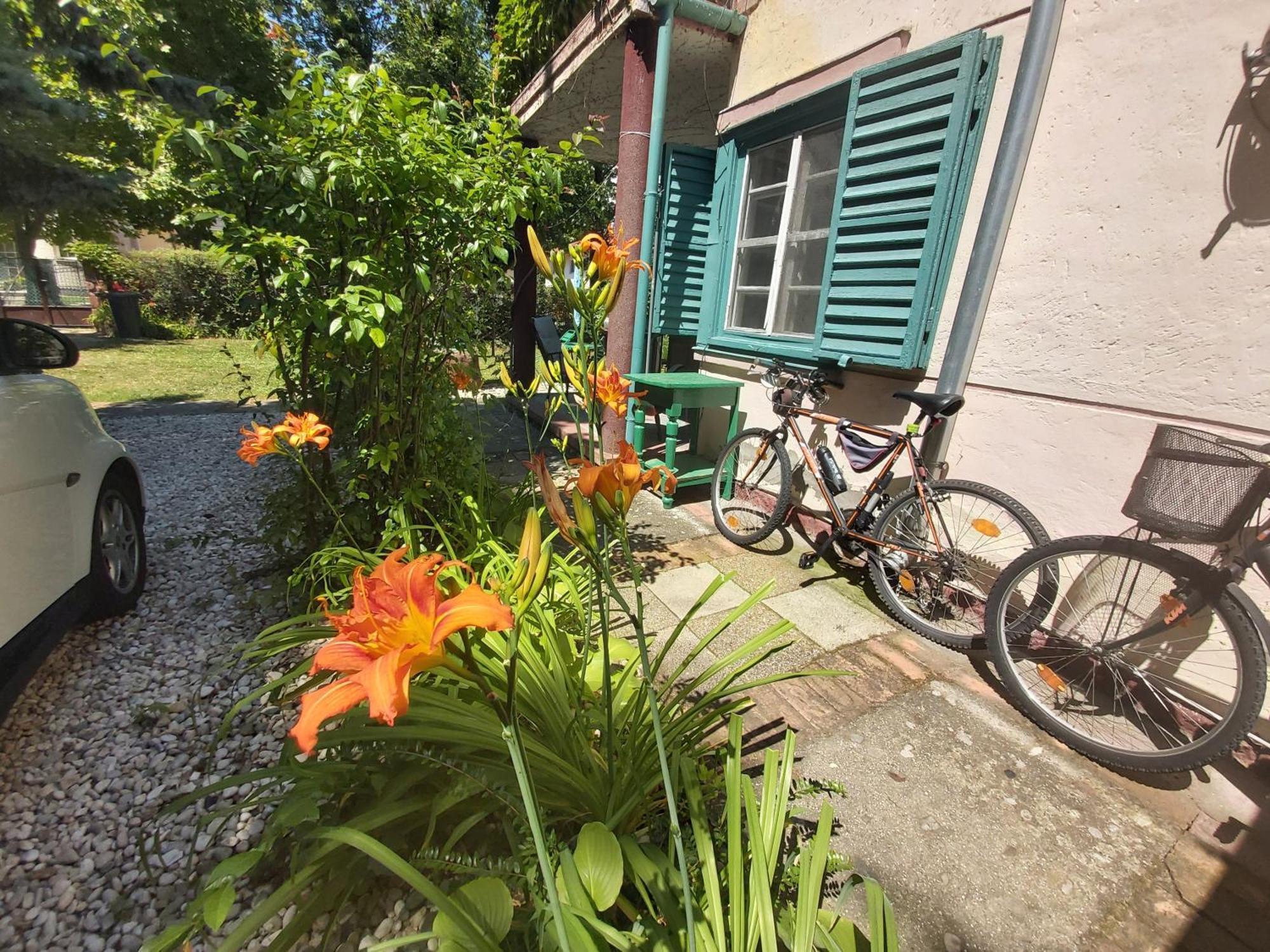 Garden Budha Relax Apartman, Parking, Bbq, Terrace ชิโอฟก ภายนอก รูปภาพ