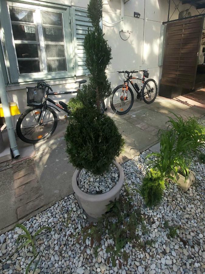 Garden Budha Relax Apartman, Parking, Bbq, Terrace ชิโอฟก ภายนอก รูปภาพ