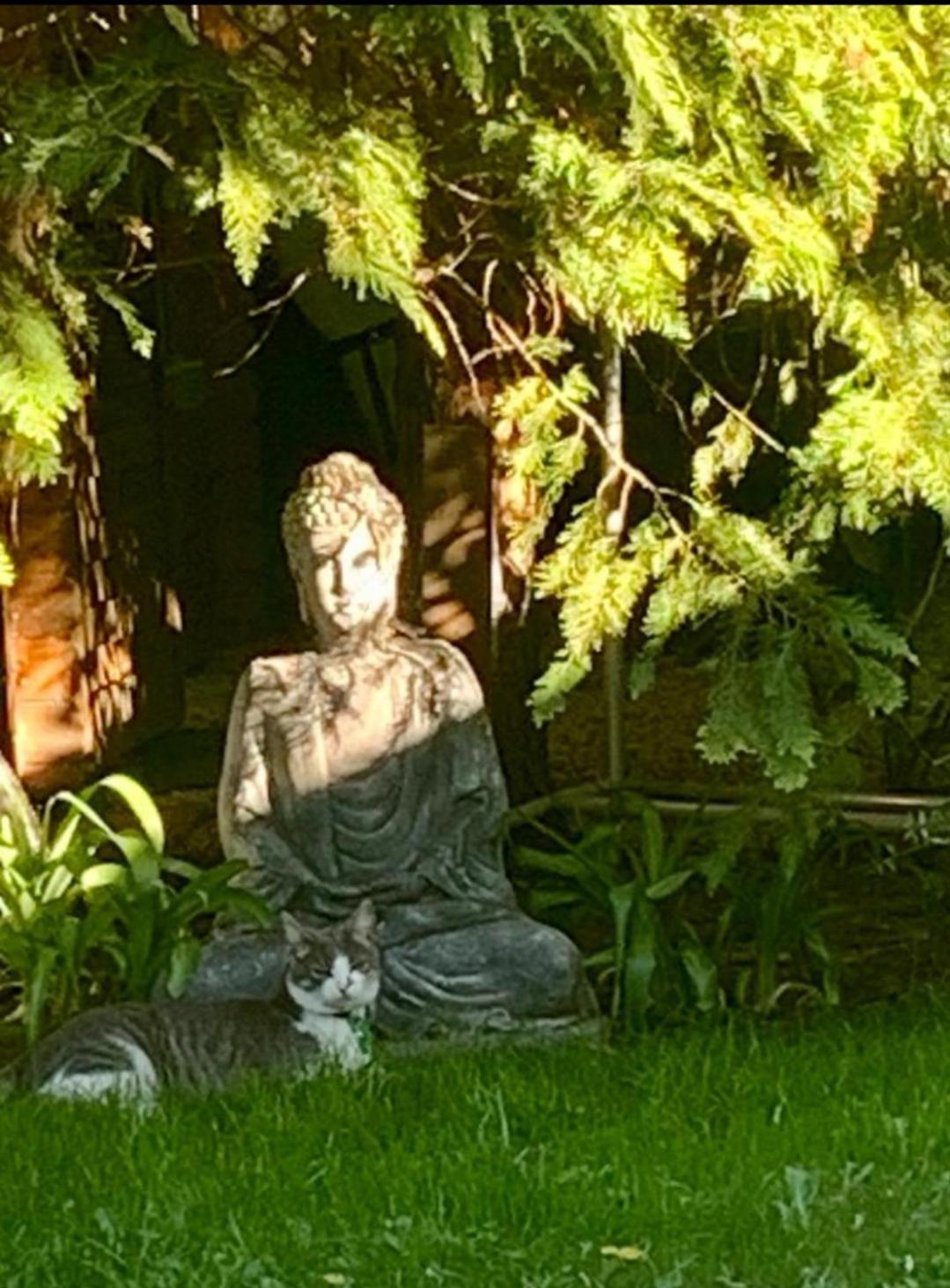 Garden Budha Relax Apartman, Parking, Bbq, Terrace ชิโอฟก ภายนอก รูปภาพ