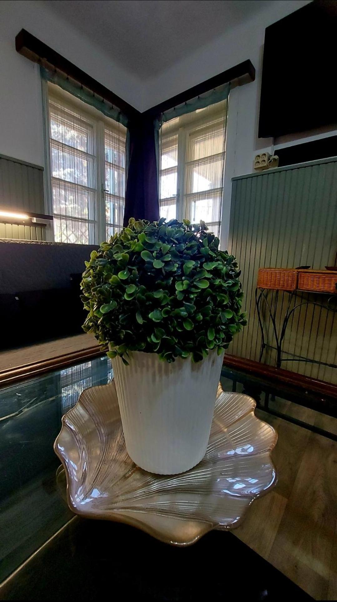 Garden Budha Relax Apartman, Parking, Bbq, Terrace ชิโอฟก ภายนอก รูปภาพ